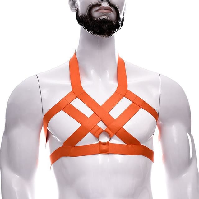 Top Harness